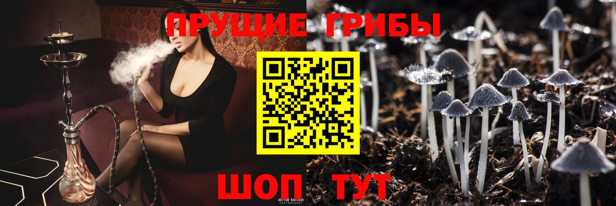 Псилоцибиновые грибы GOLDEN TEACHER Чайковский
